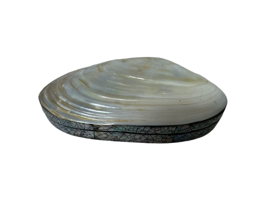 Shell Jewelry Box